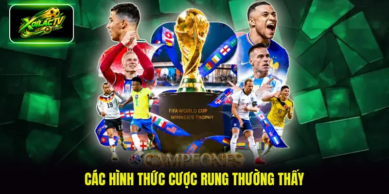 Các hình thức cược rung thường thấy