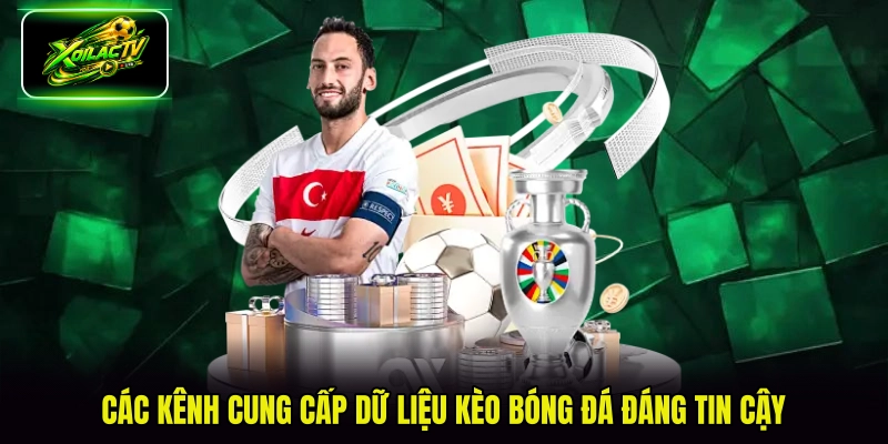 Các kênh cung cấp dữ liệu kèo bóng đá đáng tin cậy