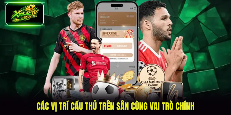 Các vị trí cầu thủ trên sân cùng vai trò chính