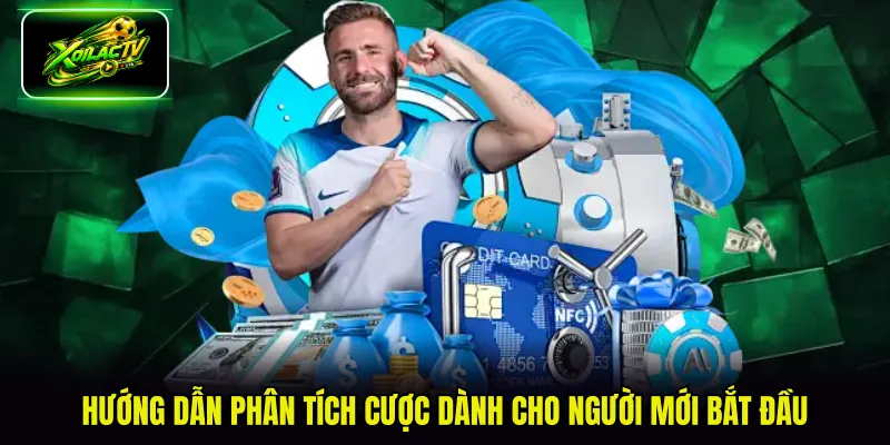 Hướng dẫn phân tích cược dành cho người mới bắt đầu