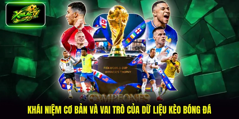 Khái niệm cơ bản và vai trò của dữ liệu kèo bóng đá