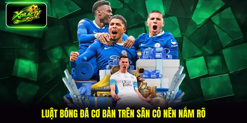 Luật bóng đá cơ bản trên sân cỏ nên nắm rõ