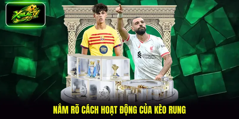 Nắm rõ cách hoạt động của kèo rung