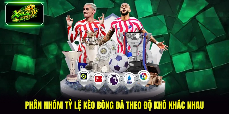 Phân nhóm tỷ lệ kèo bóng đá theo độ khó khác nhau