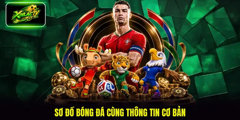 Sơ đồ bóng đá cùng thông tin cơ bản