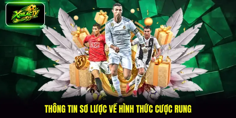 Thông tin sơ lược về hình thức cược rung