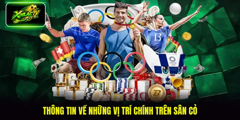 Thông tin về những vị trí chính trên sân cỏ