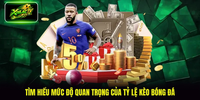 Tìm hiểu mức độ quan trọng của tỷ lệ kèo bóng đá