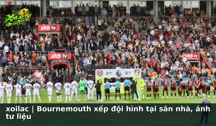 xoilac | Bournemouth xếp đội hình tại sân nhà, ảnh tư liệu