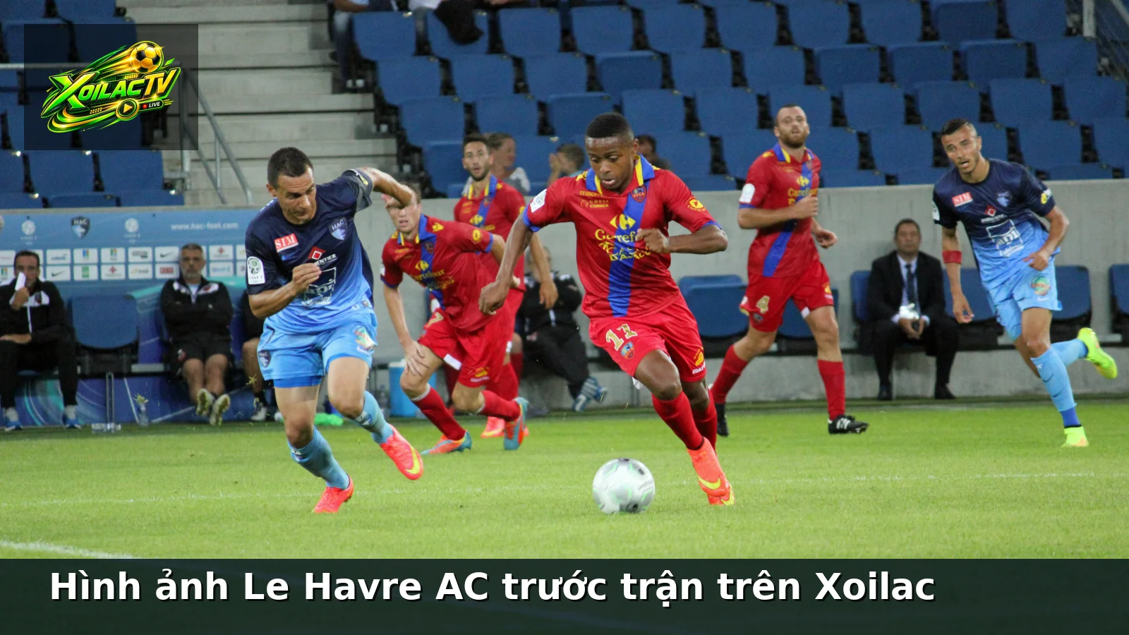 Hình ảnh Le Havre AC trước trận trên Xoilac