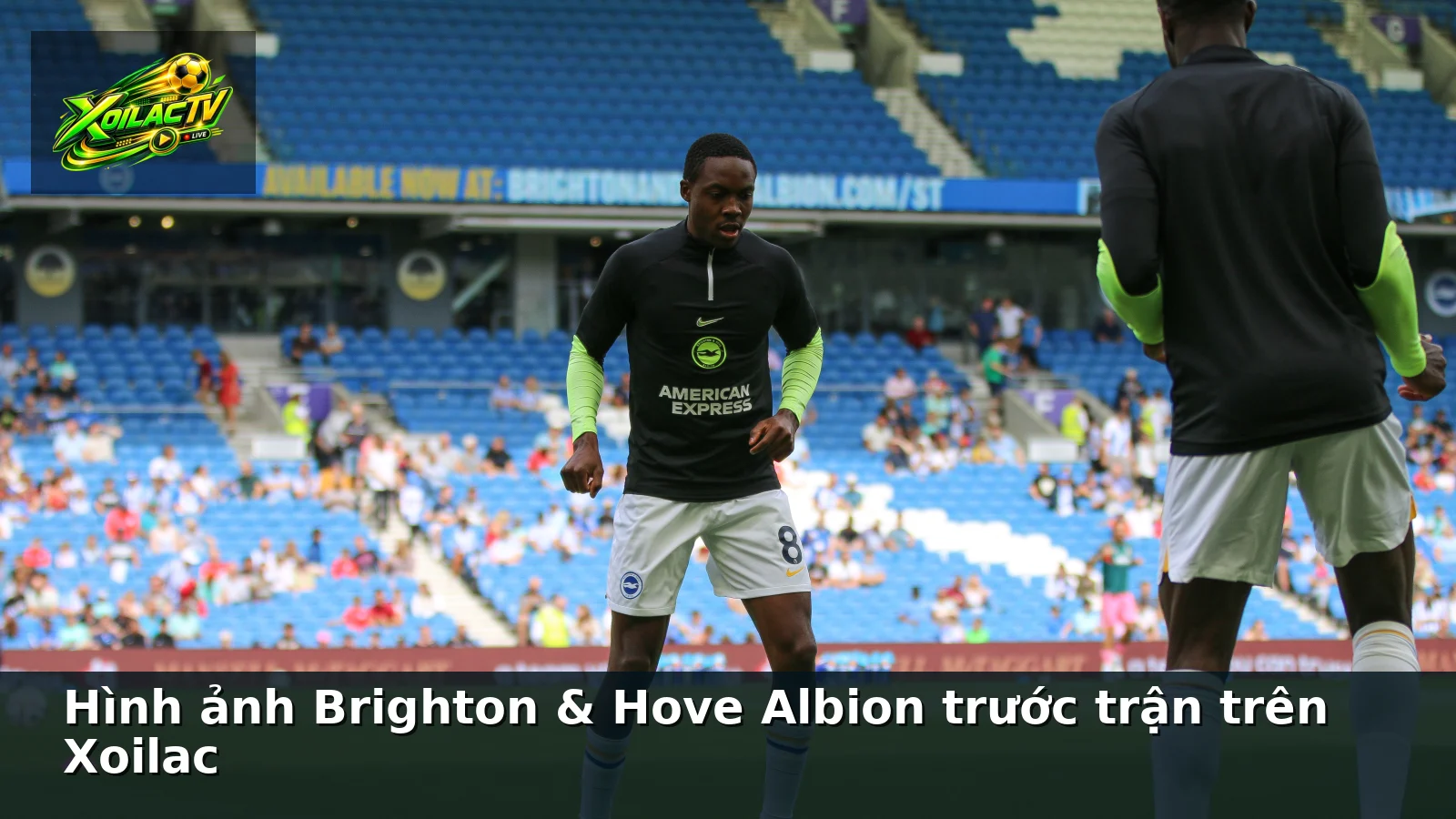Hình ảnh Brighton & Hove Albion trước trận trên Xoilac Hình ảnh Brighton & Hove Albion trước trận trên Xoilac
