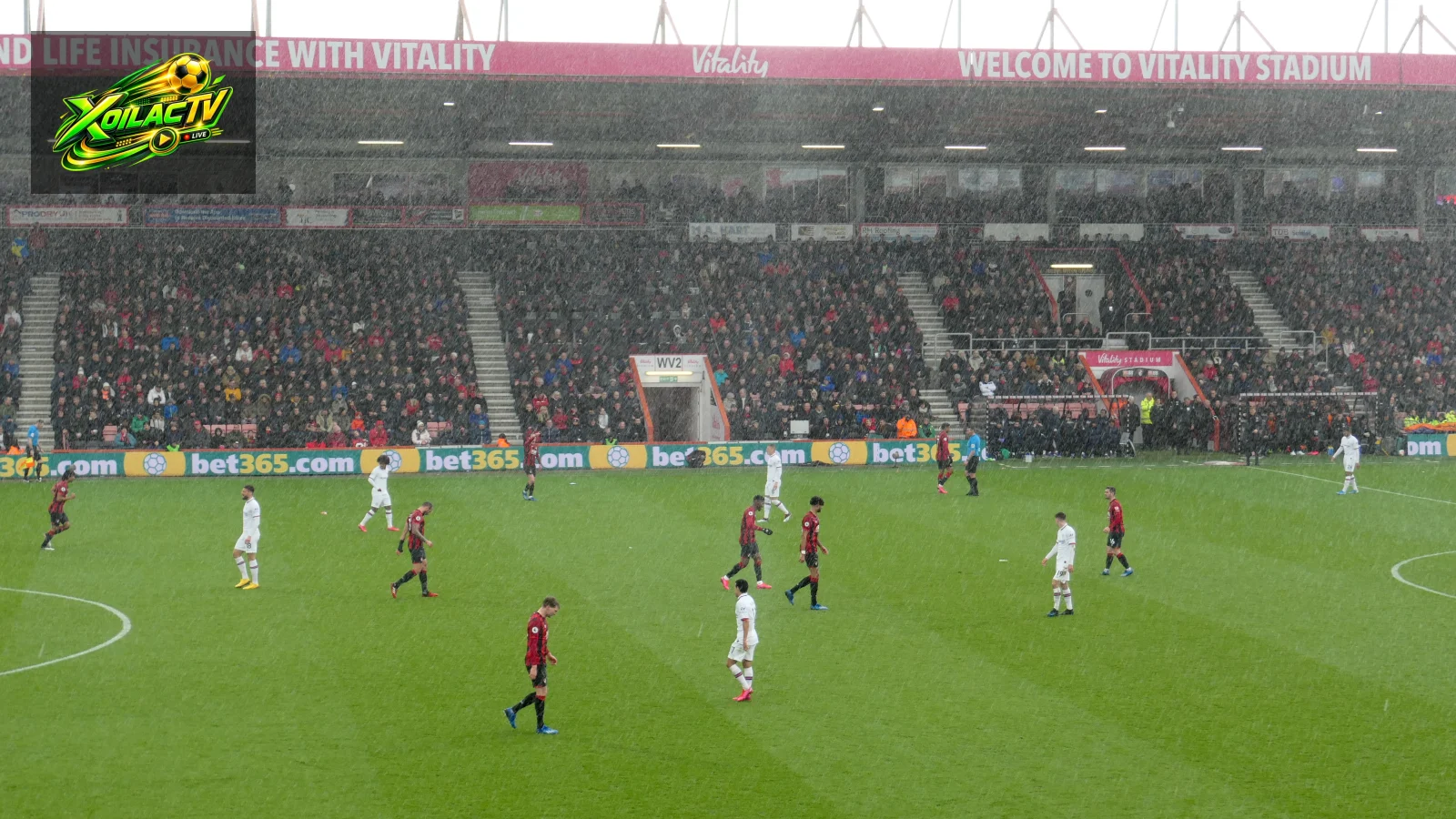 Chelsea và AFC Bournemouth trong một tình huống bóng tư liệu