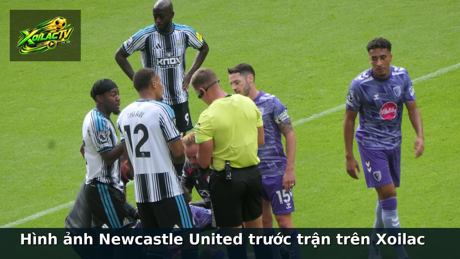 Hình ảnh Newcastle United trước trận trên Xoilac Hình ảnh Newcastle United trước trận trên Xoilac