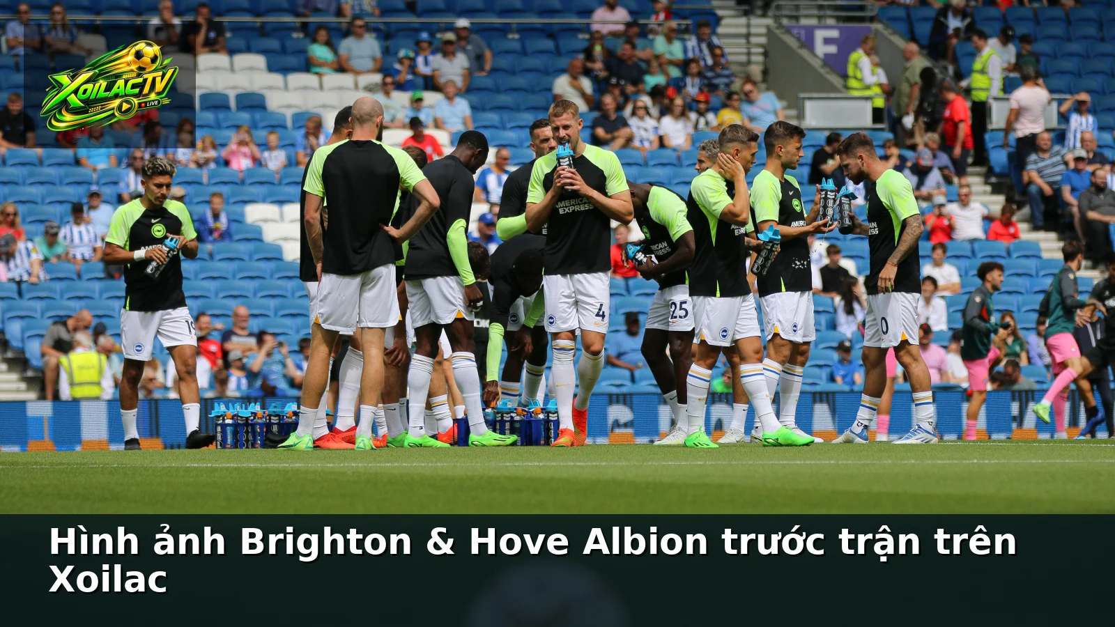 Hình ảnh Brighton & Hove Albion trước trận trên Xoilac