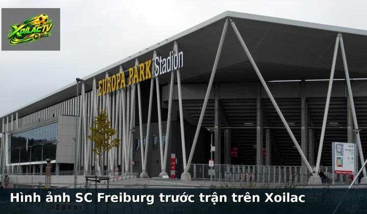 Hình ảnh SC Freiburg trước trận trên Xoilac