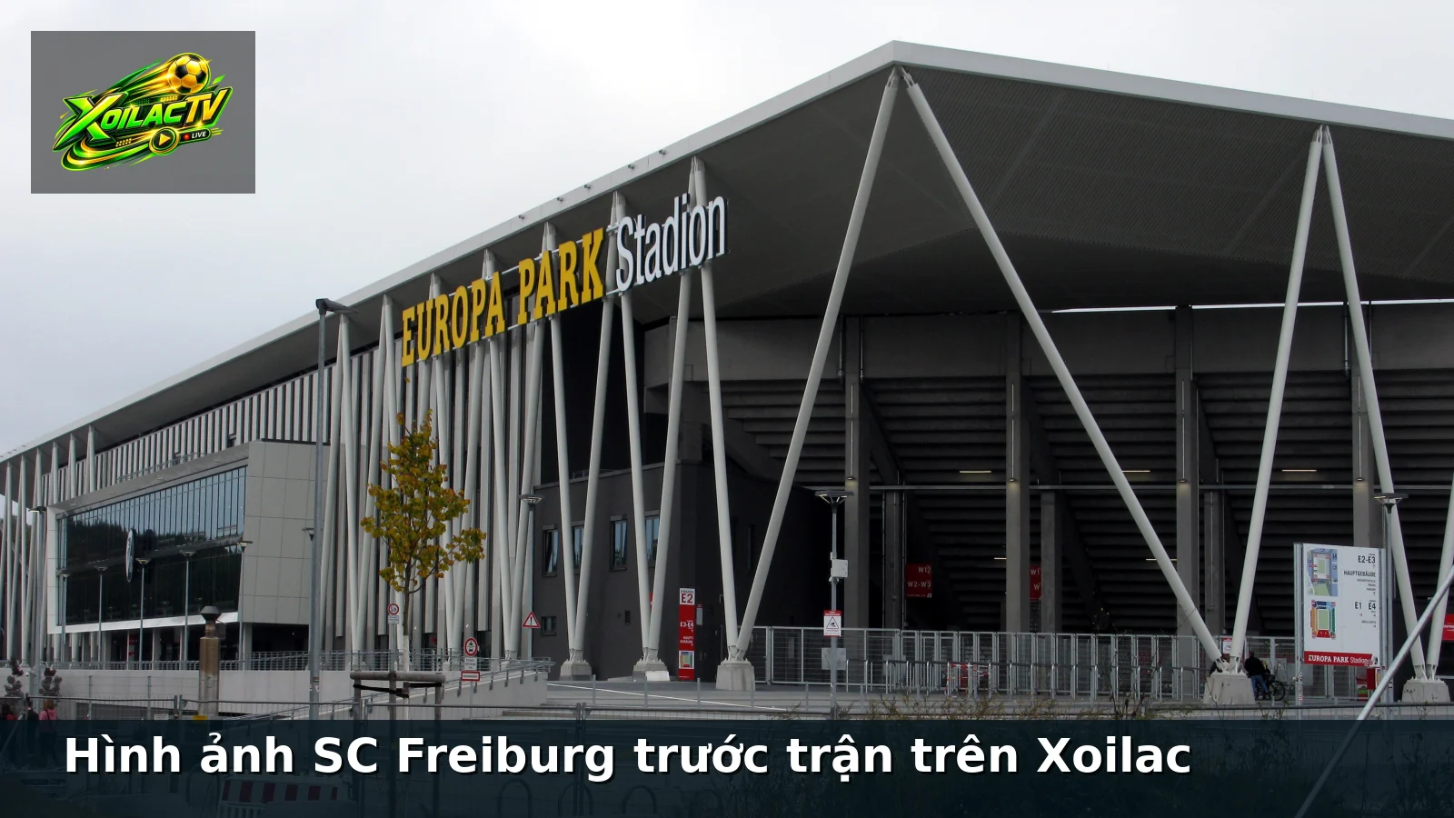 Hình ảnh SC Freiburg trước trận trên Xoilac