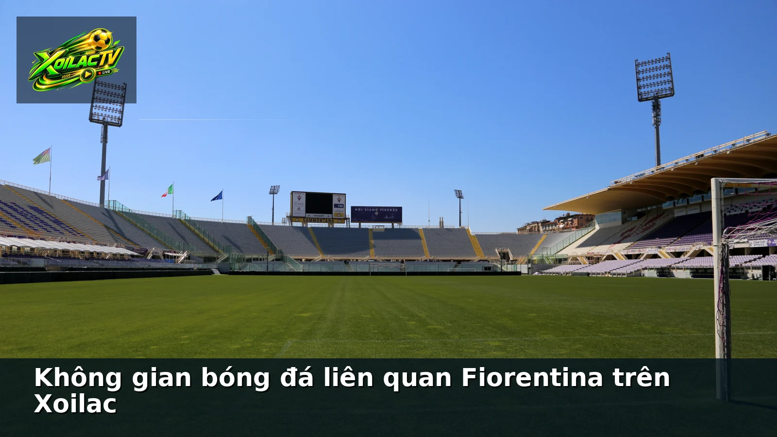 Không gian bóng đá liên quan Fiorentina trên Xoilac Không gian bóng đá liên quan Fiorentina trên Xoilac