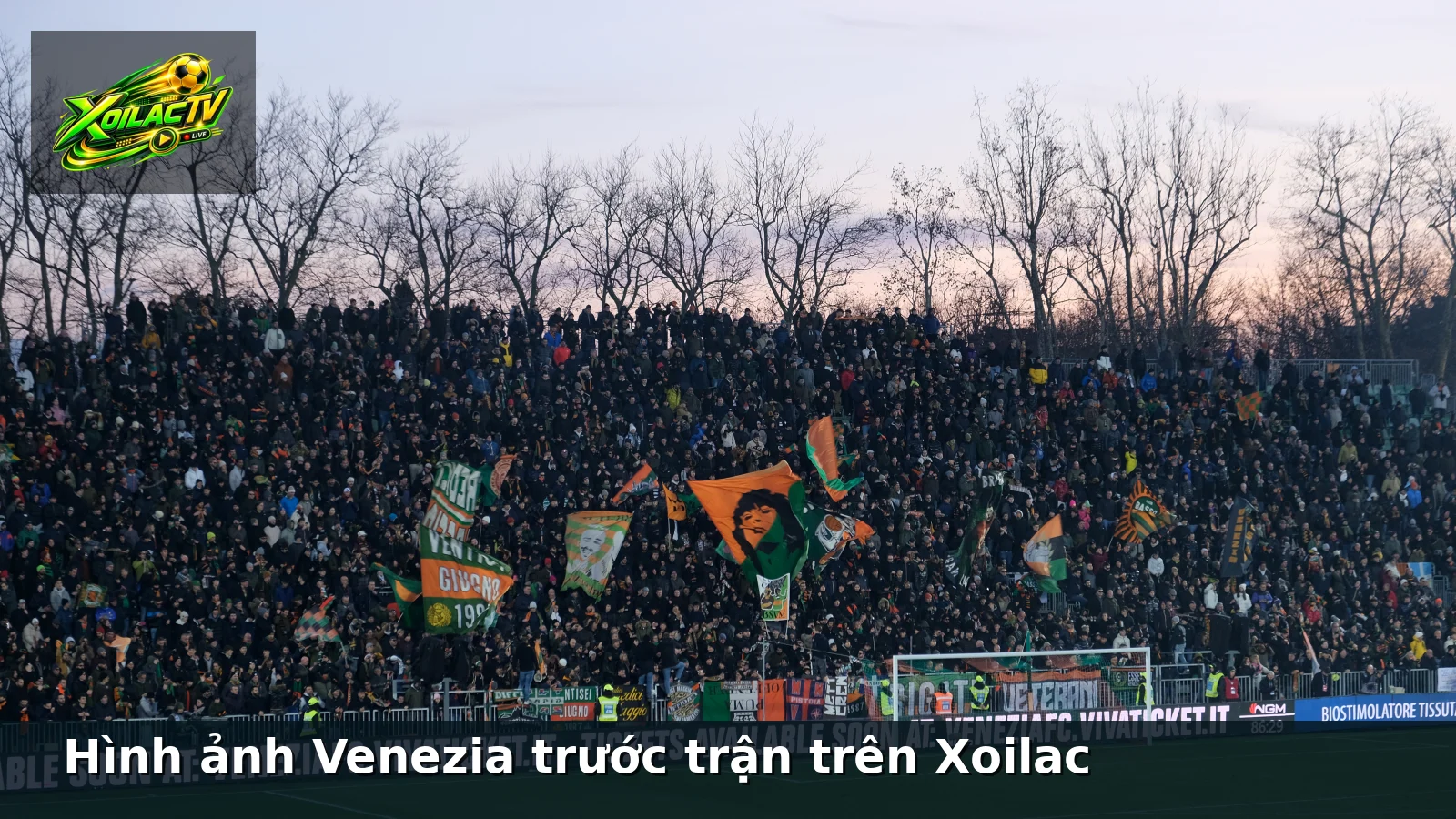 Hình ảnh Venezia trước trận trên Xoilac