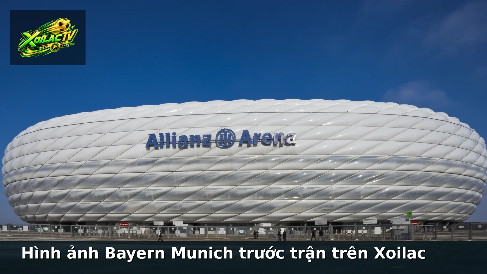 Hình ảnh Bayern Munich trước trận trên Xoilac