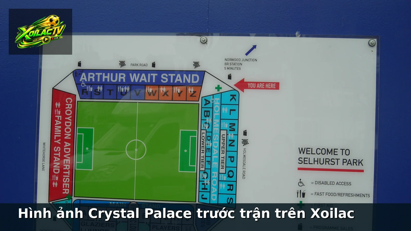 Hình ảnh Crystal Palace trước trận trên Xoilac
